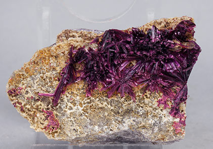 Erythrite with Phlogopite.