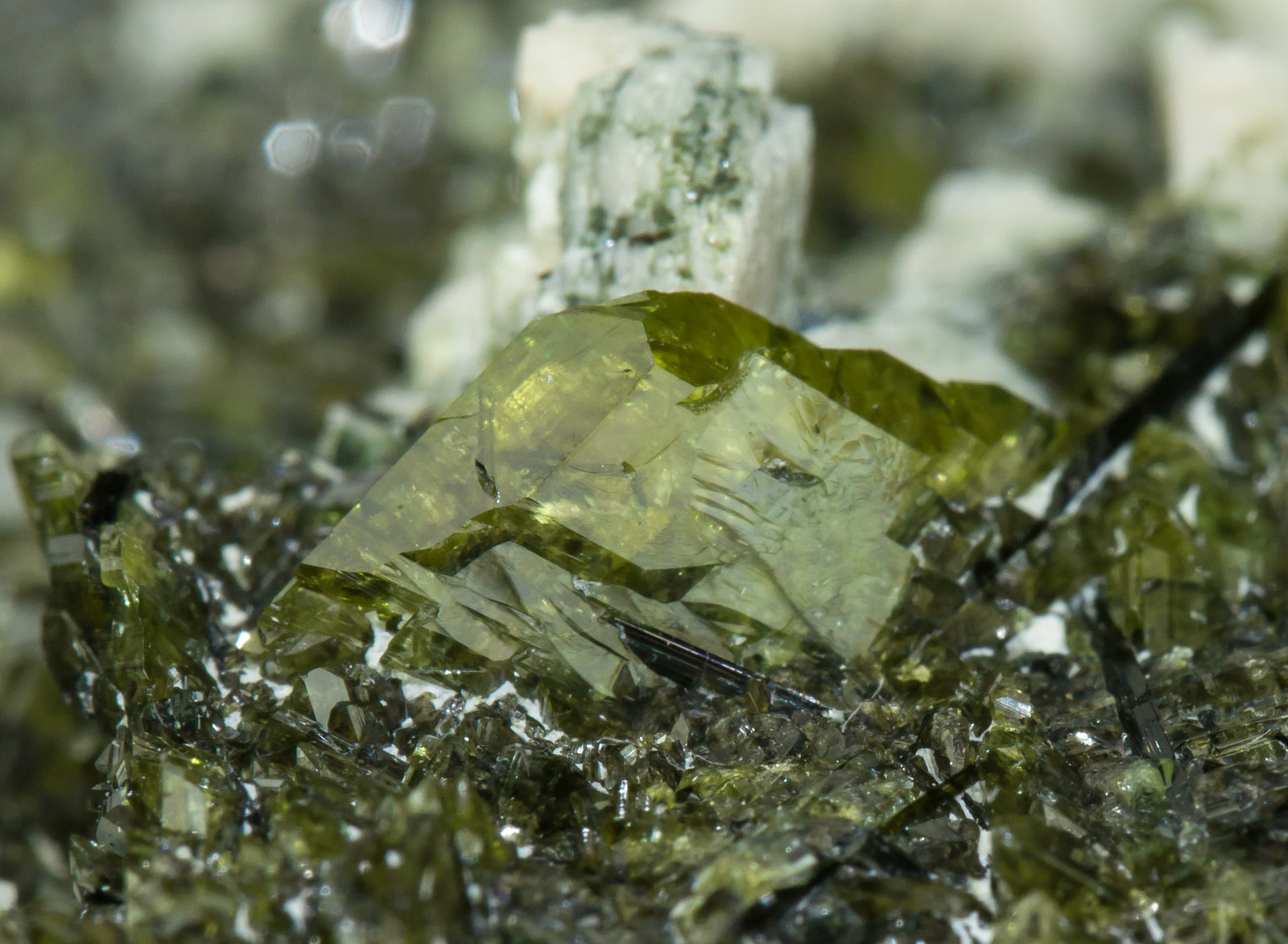 specimens/s_imagesAE1/Titanite-EC99AE1d.jpg