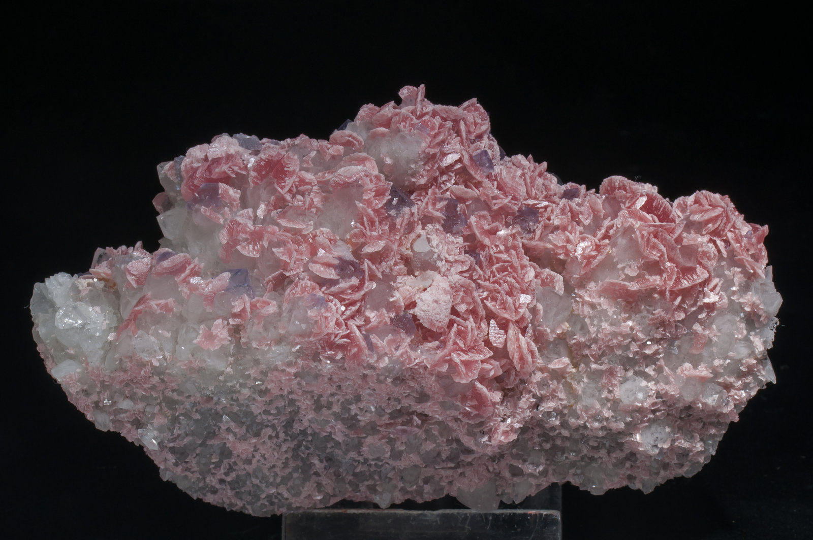 specimens/s_imagesAE2/Rhodochrosite-EF49AE2r.jpg