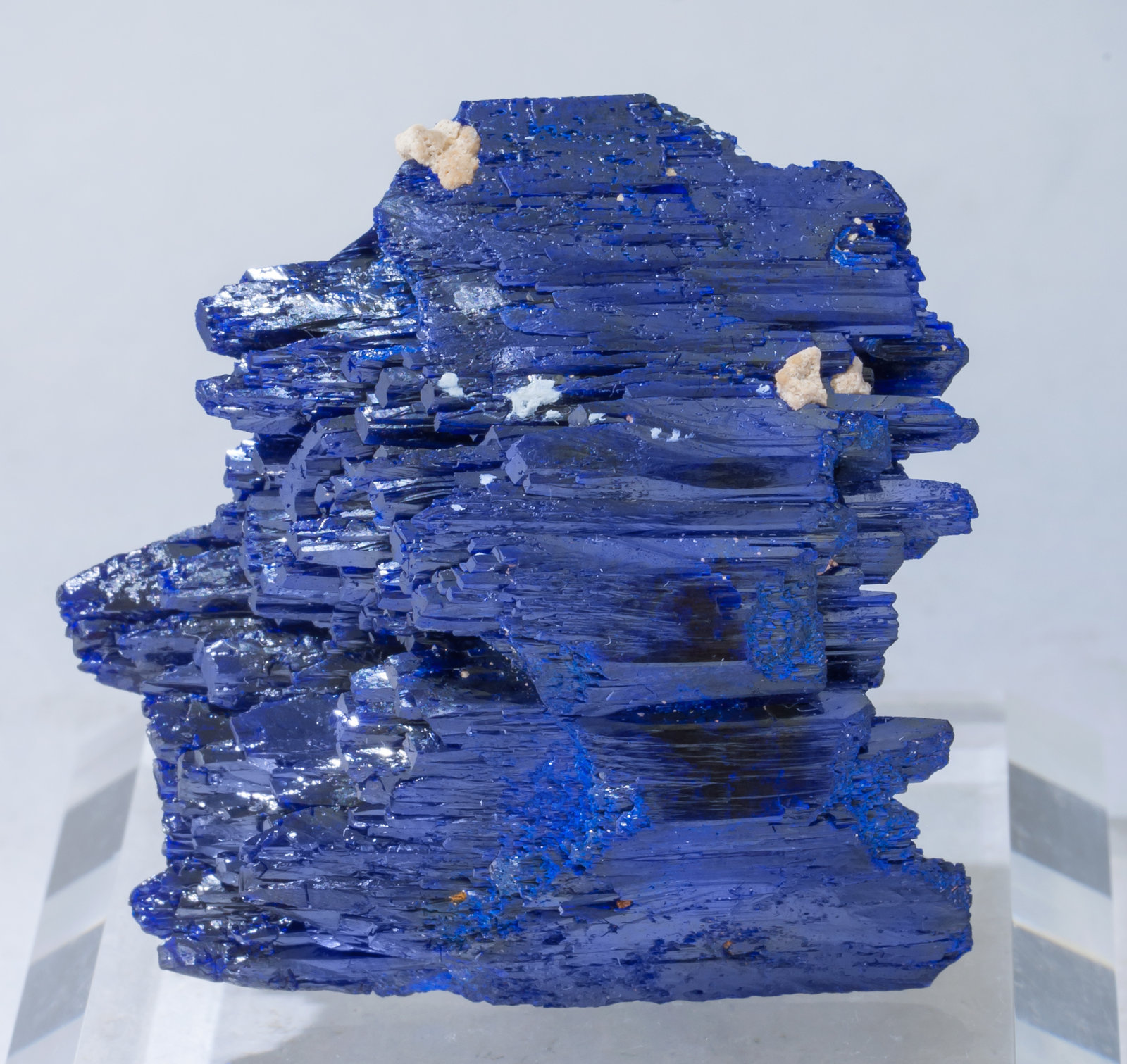 specimens/s_imagesAE3/Azurite-MG64AE3r.jpg