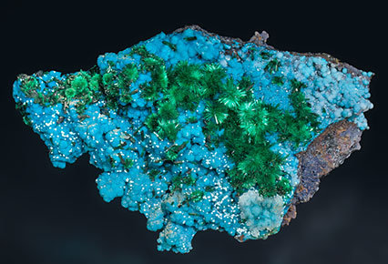 Brochantite with Chrysocolla and Atacamite.