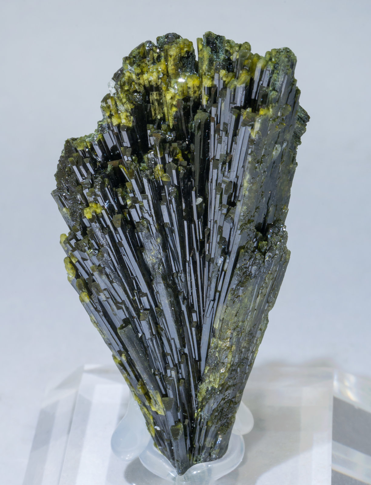 specimens/s_imagesAE3/Epidote-TD9AE3f.jpg