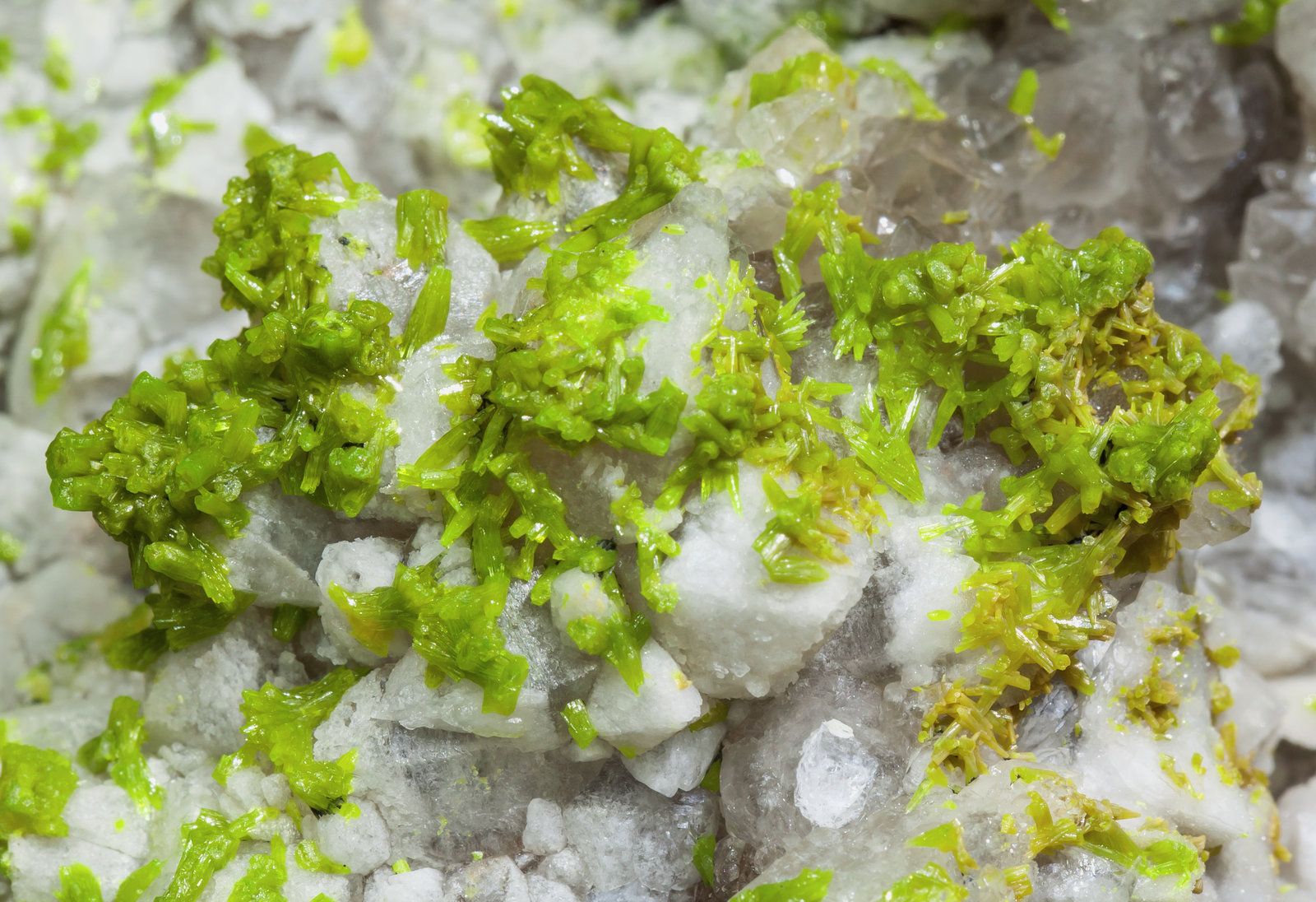 specimens/s_imagesAE3/Pyromorphite-EA96AE3d.jpg