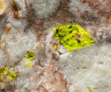 Rodalquilarite with Jarosite. 