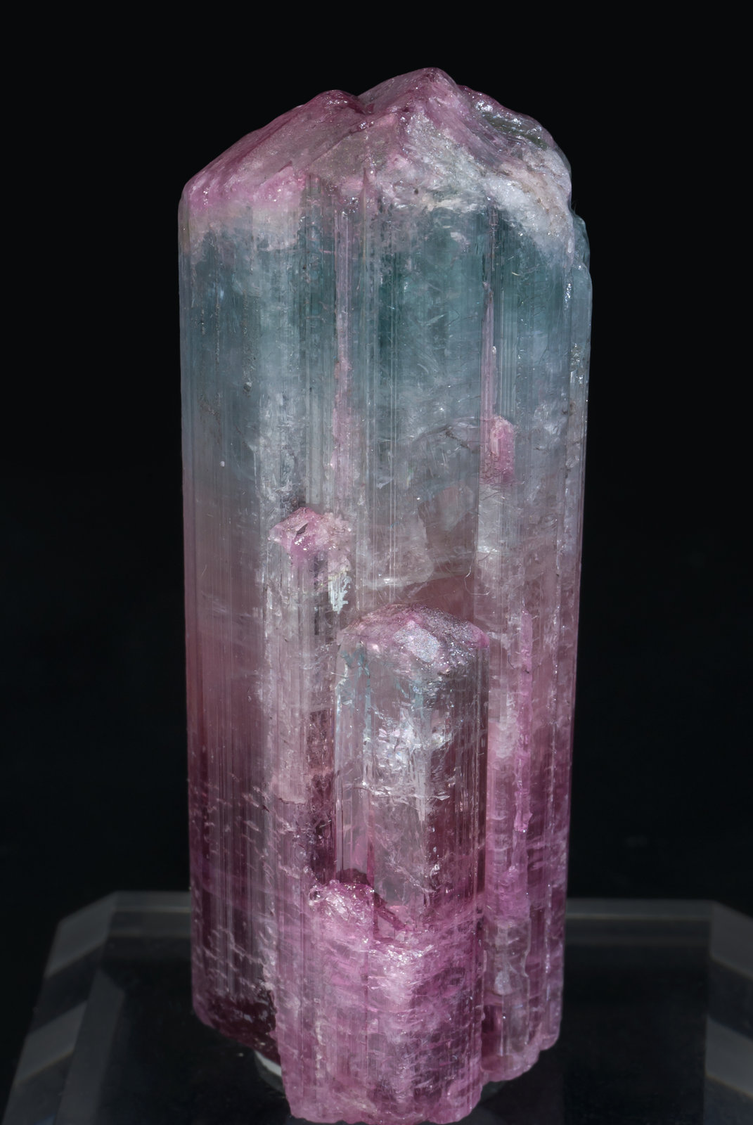 specimens/s_imagesAE4/Elbaite-EV26AE4f.jpg