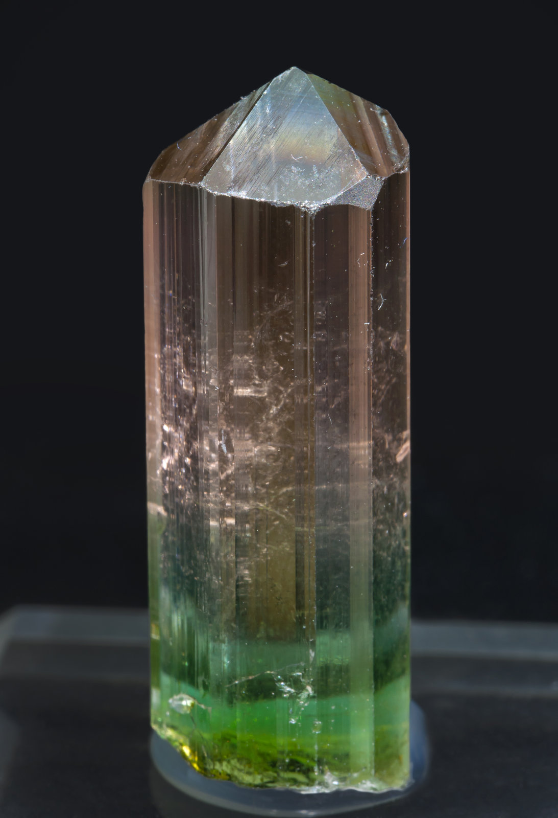 specimens/s_imagesAE4/Elbaite-MK73AE4f.jpg