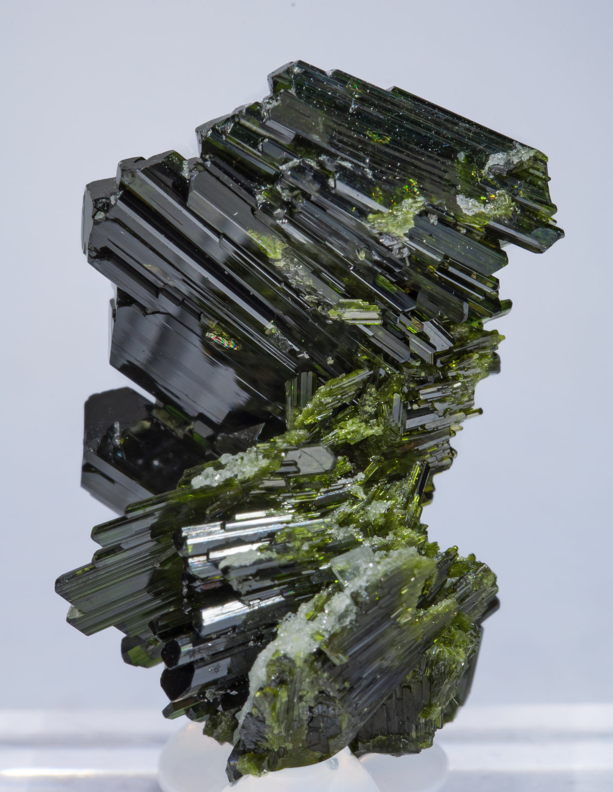 specimens/s_imagesAE4/Epidote-EF48AE4r.jpg