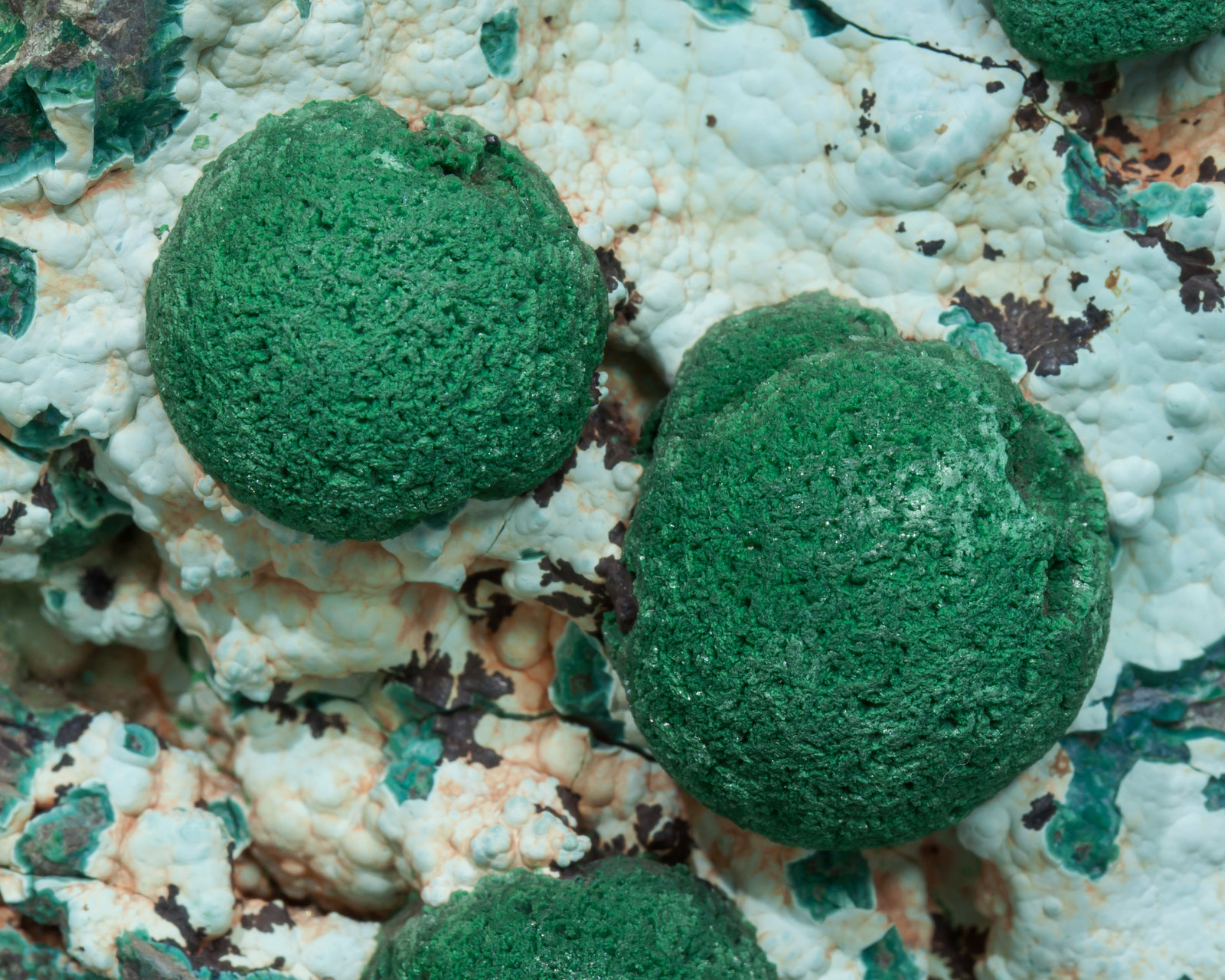 specimens/s_imagesAE4/Malachite-ER96AE4d.jpg