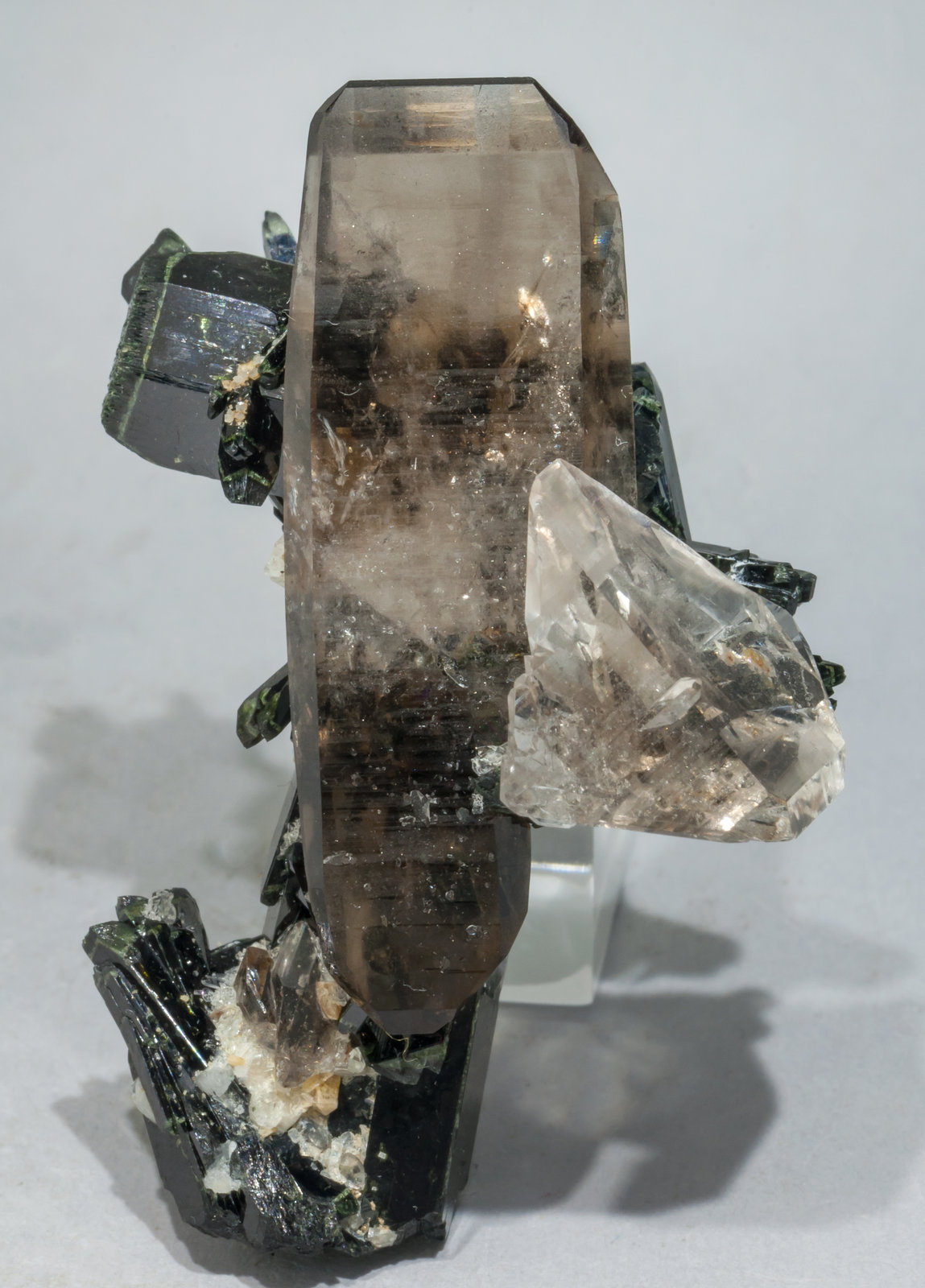 specimens/s_imagesAE4/Quartz_smoky-EA76AE4f.jpg