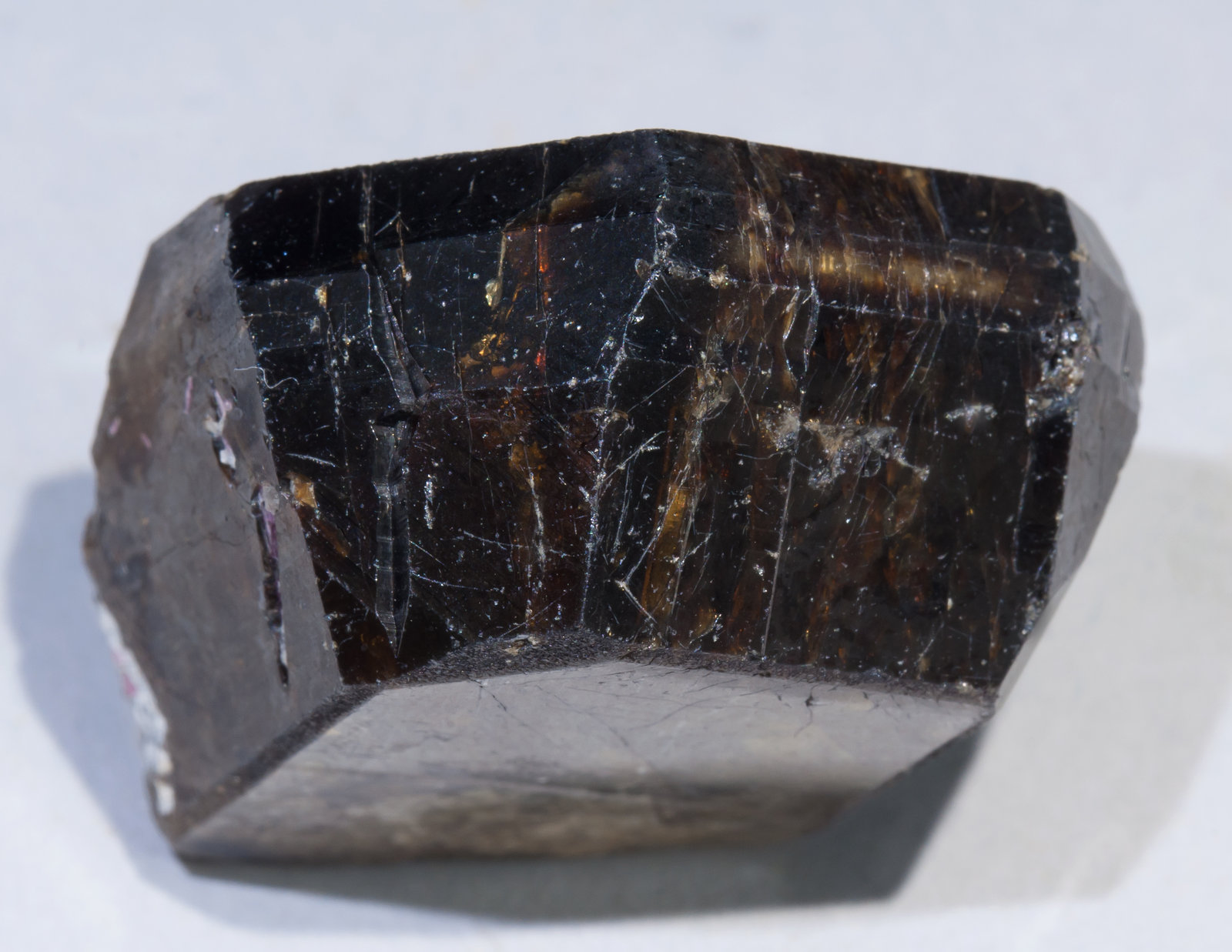 specimens/s_imagesAE4/Stibiotantalite-MJ36AE4t.jpg