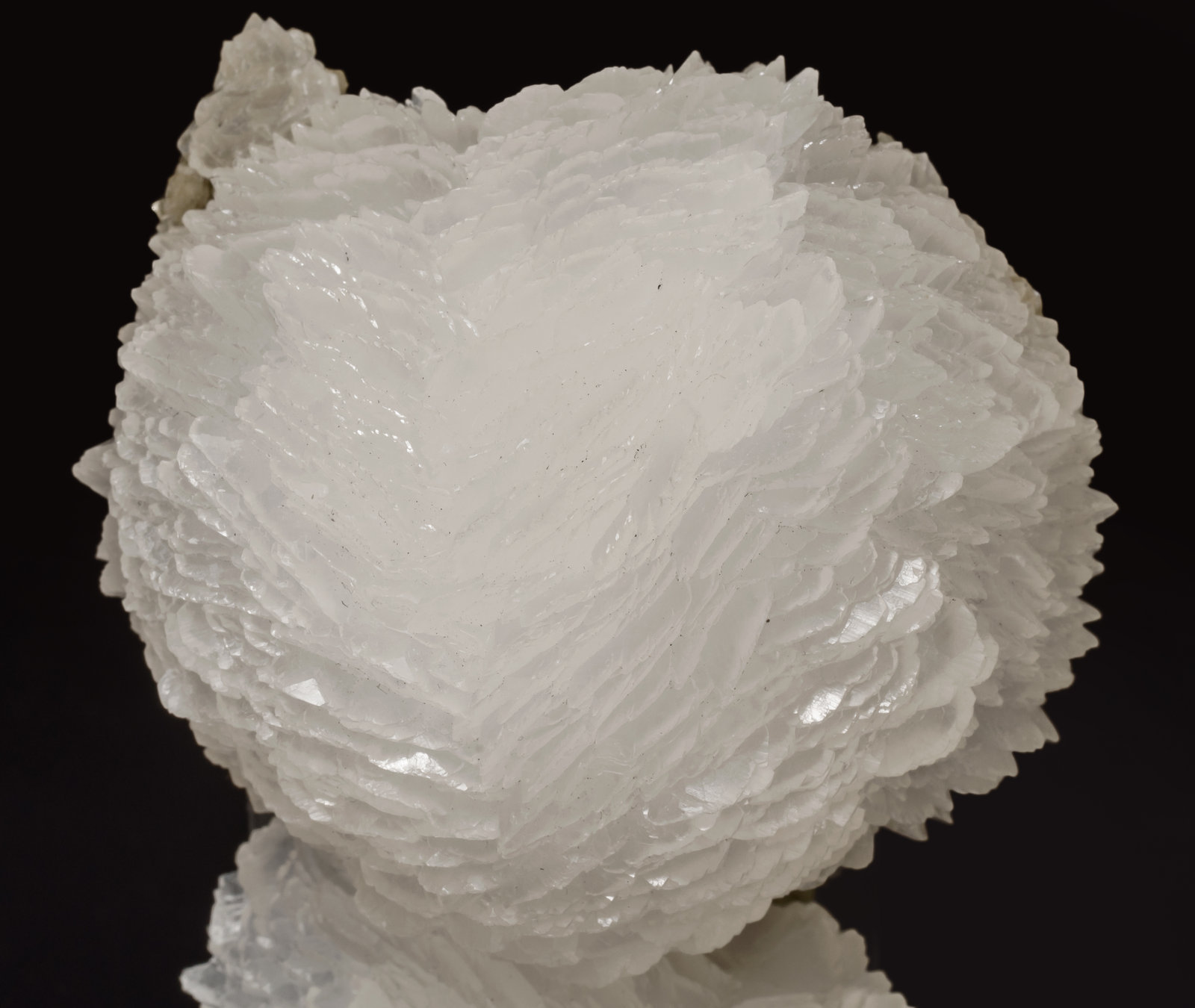 specimens/s_imagesAE5/Calcite-LC87AE5d.jpg