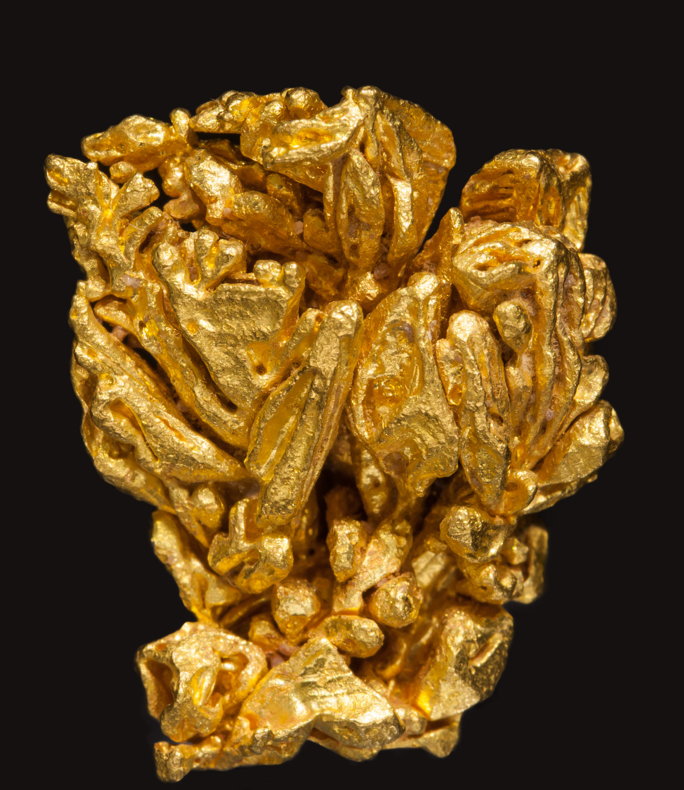 specimens/s_imagesAE5/Gold-EE97AE5f.jpg