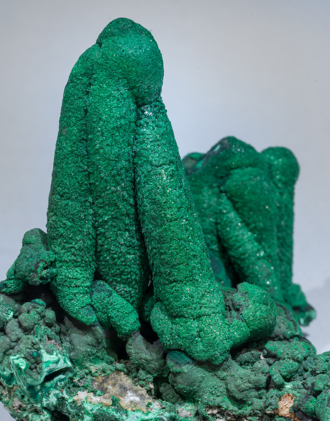 specimens/s_imagesAE5/Malachite-TP57AE5d.jpg