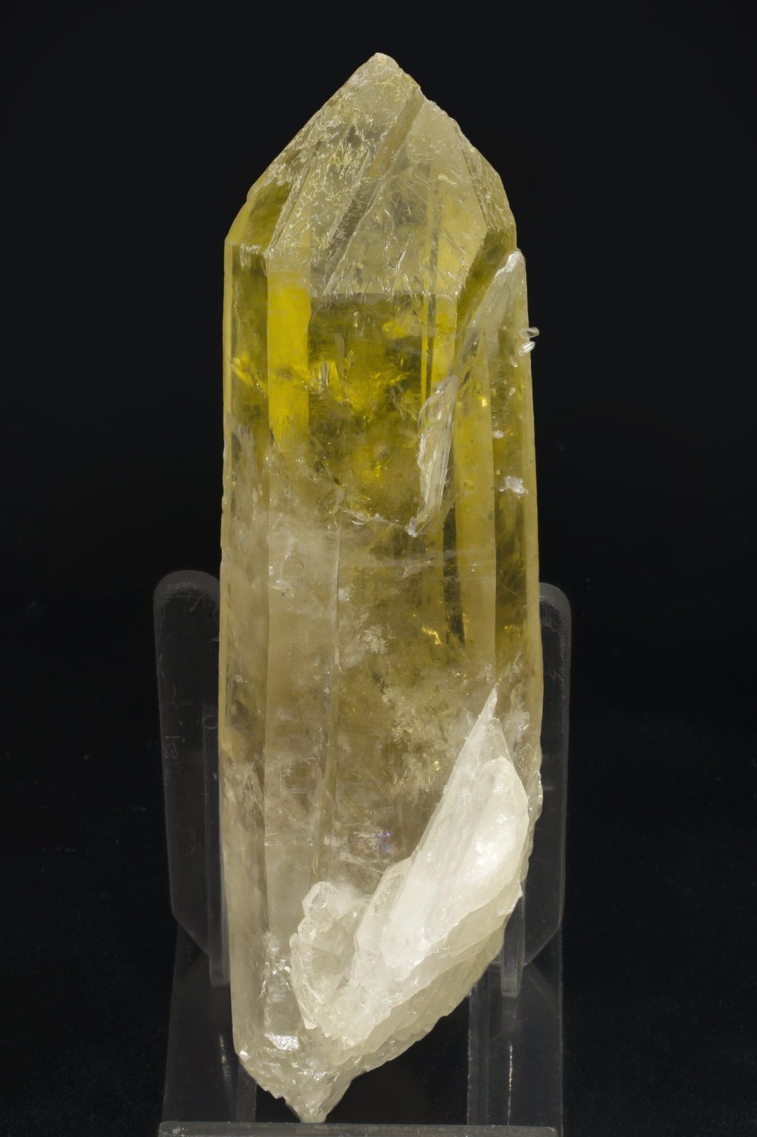 specimens/s_imagesAE5/Quartz_citrine-EC87AE5s.jpg