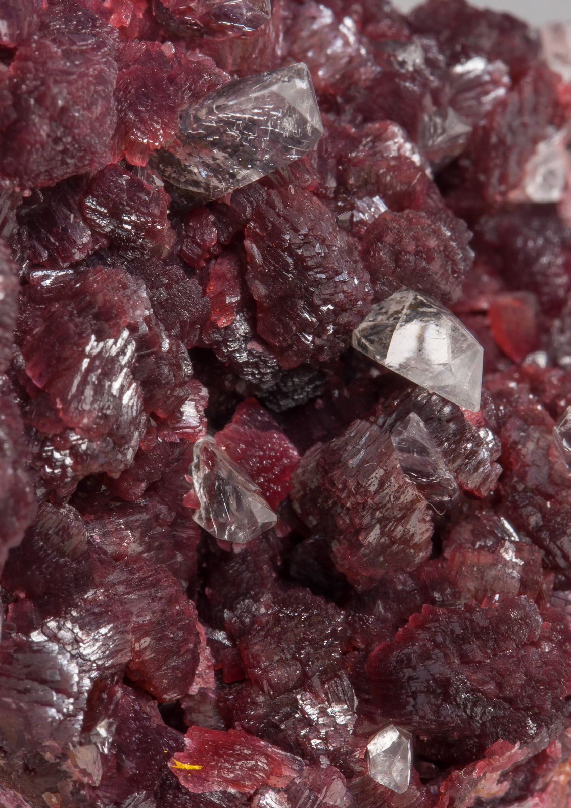 specimens/s_imagesAE6/Beta-Roselite-MA46AE6d.jpg