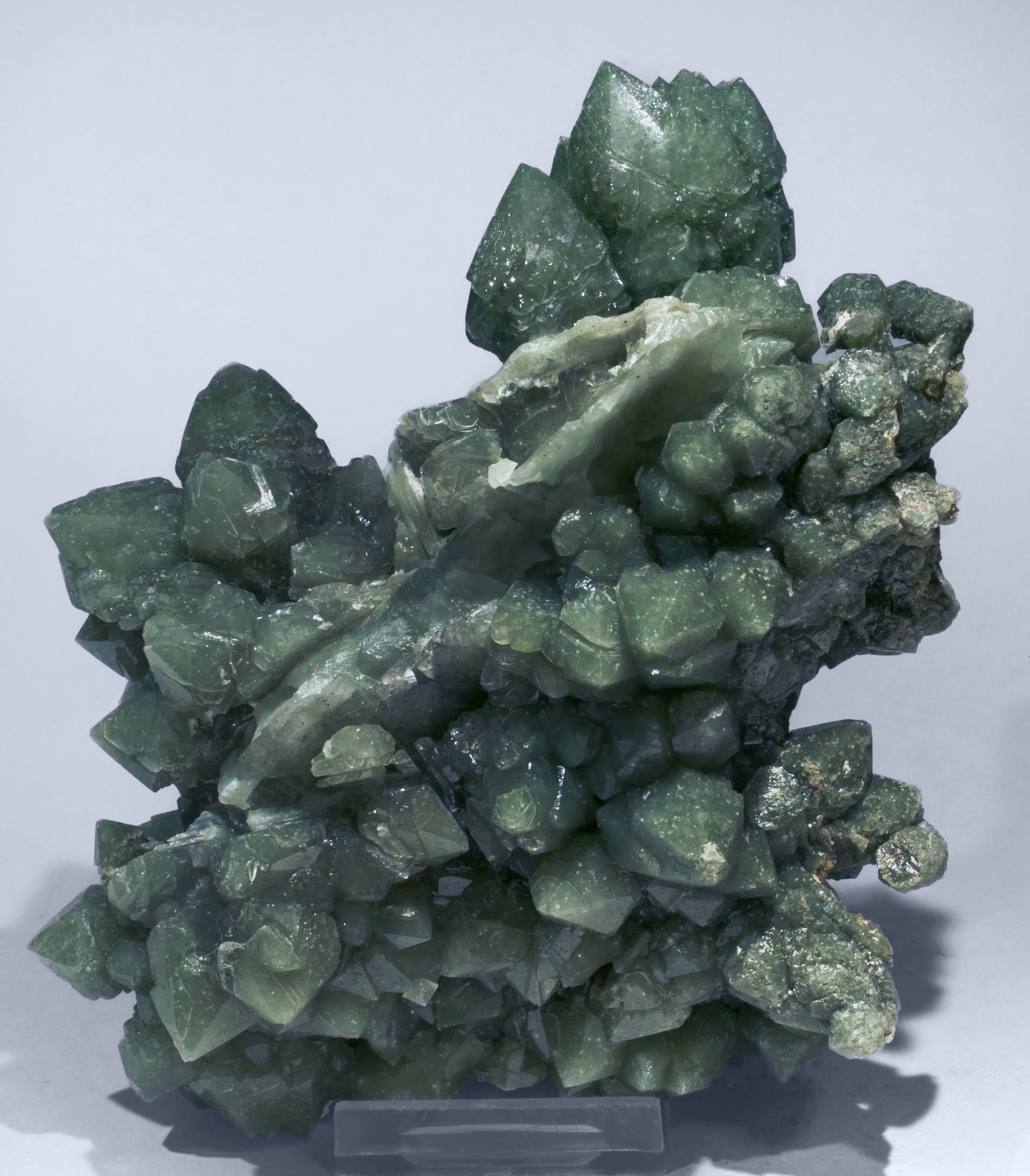 specimens/s_imagesAE6/Quartz_prase-EA72AE6f.jpg