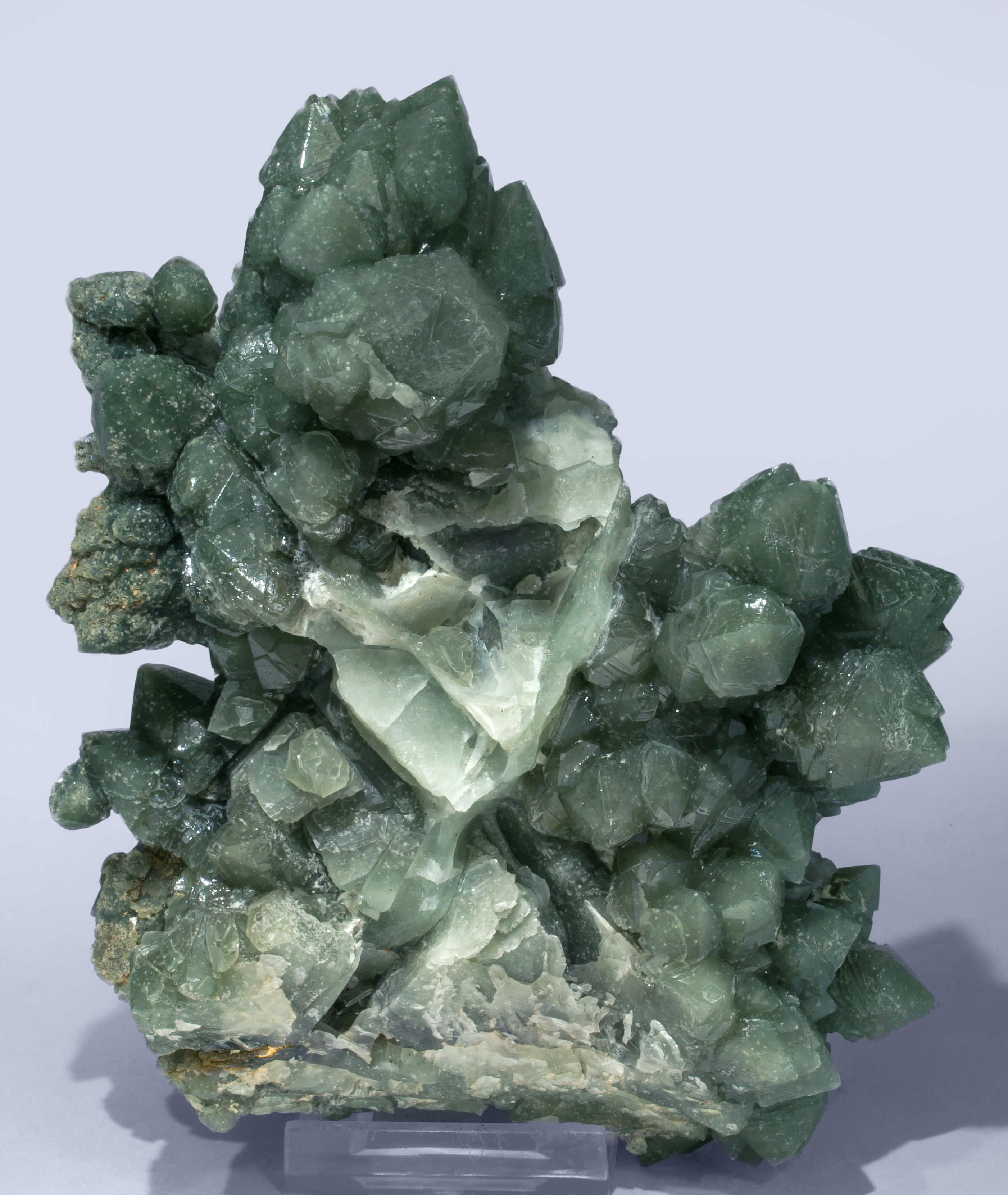 specimens/s_imagesAE6/Quartz_prase-EA72AE6r.jpg