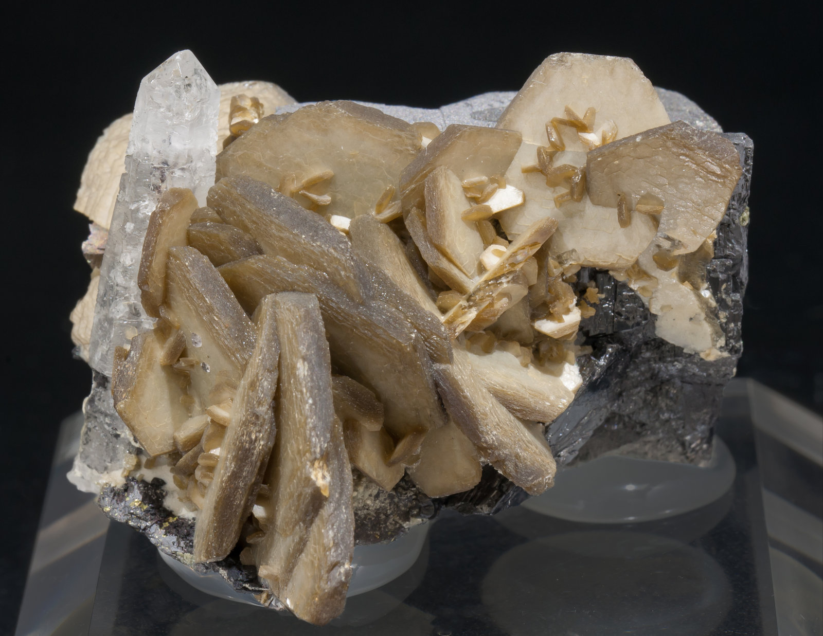 specimens/s_imagesAE6/Siderite-MD12AE6f.jpg