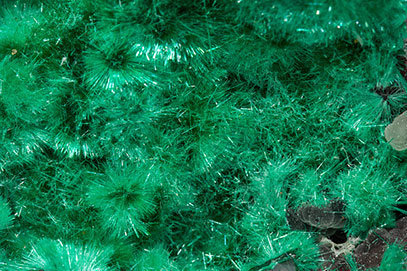 Brochantite with Atacamite and Quartz (variety chalcedony). 