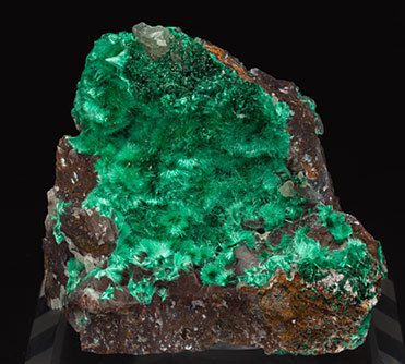 Brochantite with Atacamite and Quartz (variety chalcedony).