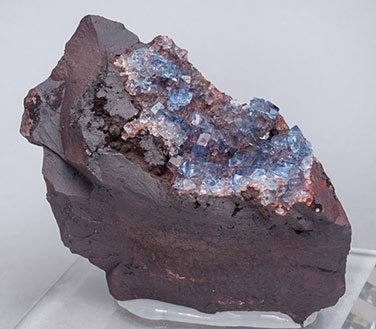 Fluorite with Hematite. 