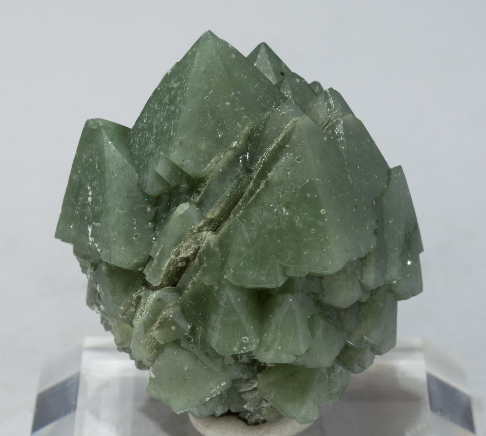 specimens/s_imagesAE7/Quartz_prase-MB66AE7r.jpg