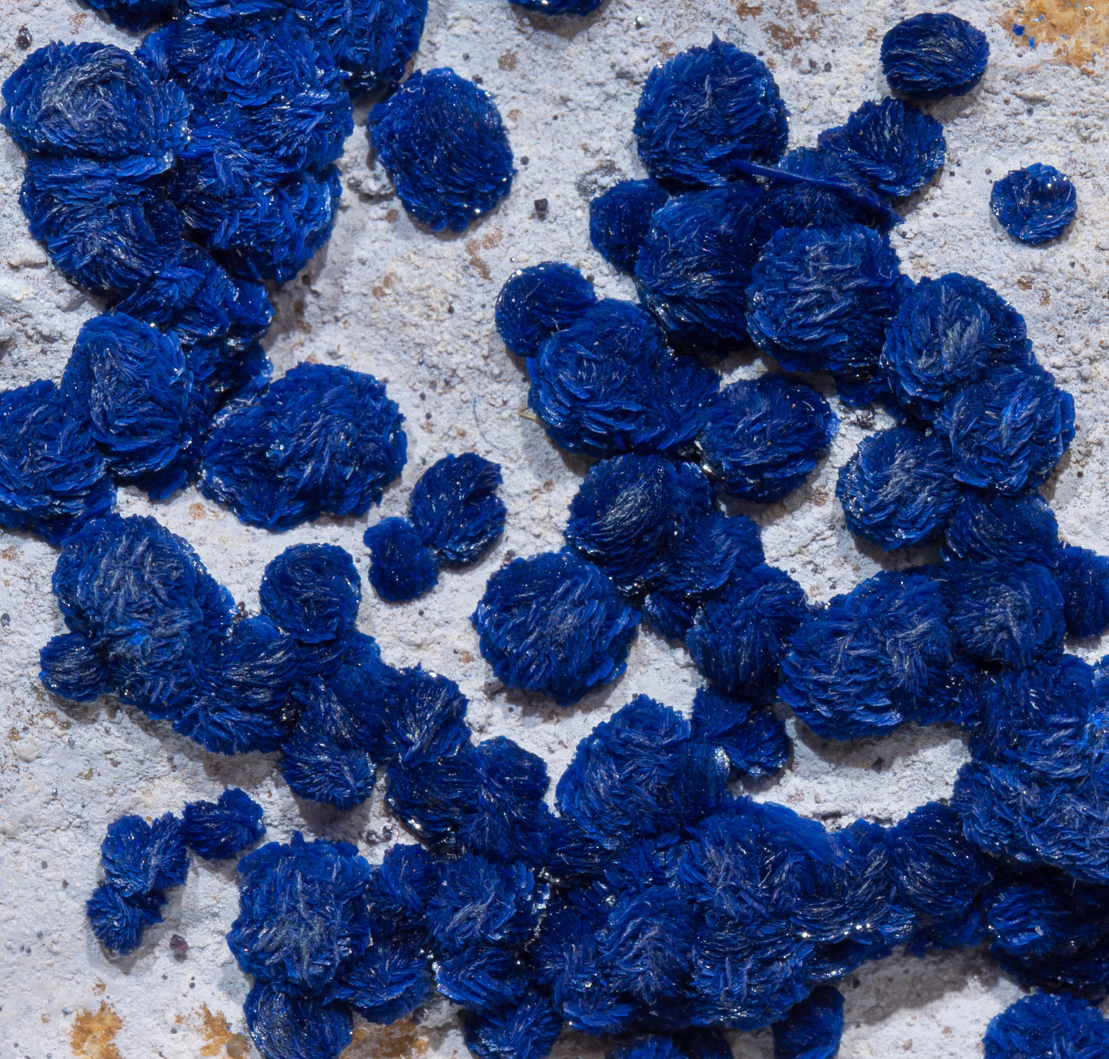 specimens/s_imagesAE8/Azurite-EM67AE8d.jpg