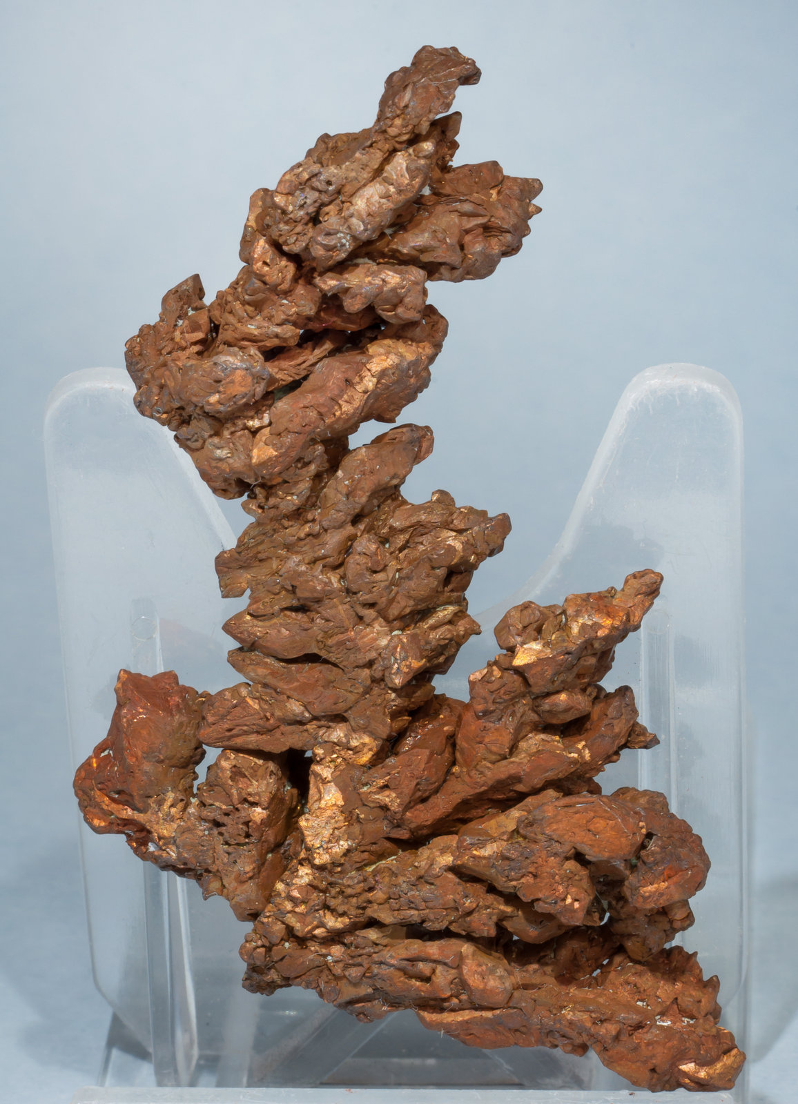 specimens/s_imagesAE8/Copper-TH96AE8f.jpg