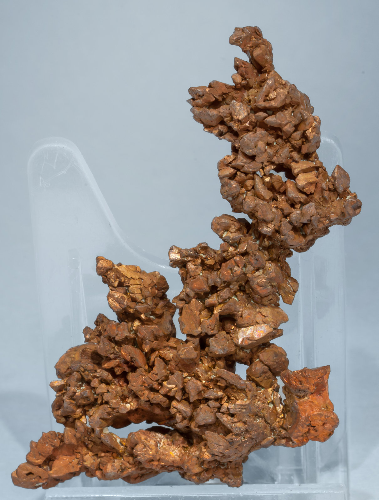 specimens/s_imagesAE8/Copper-TH96AE8r.jpg