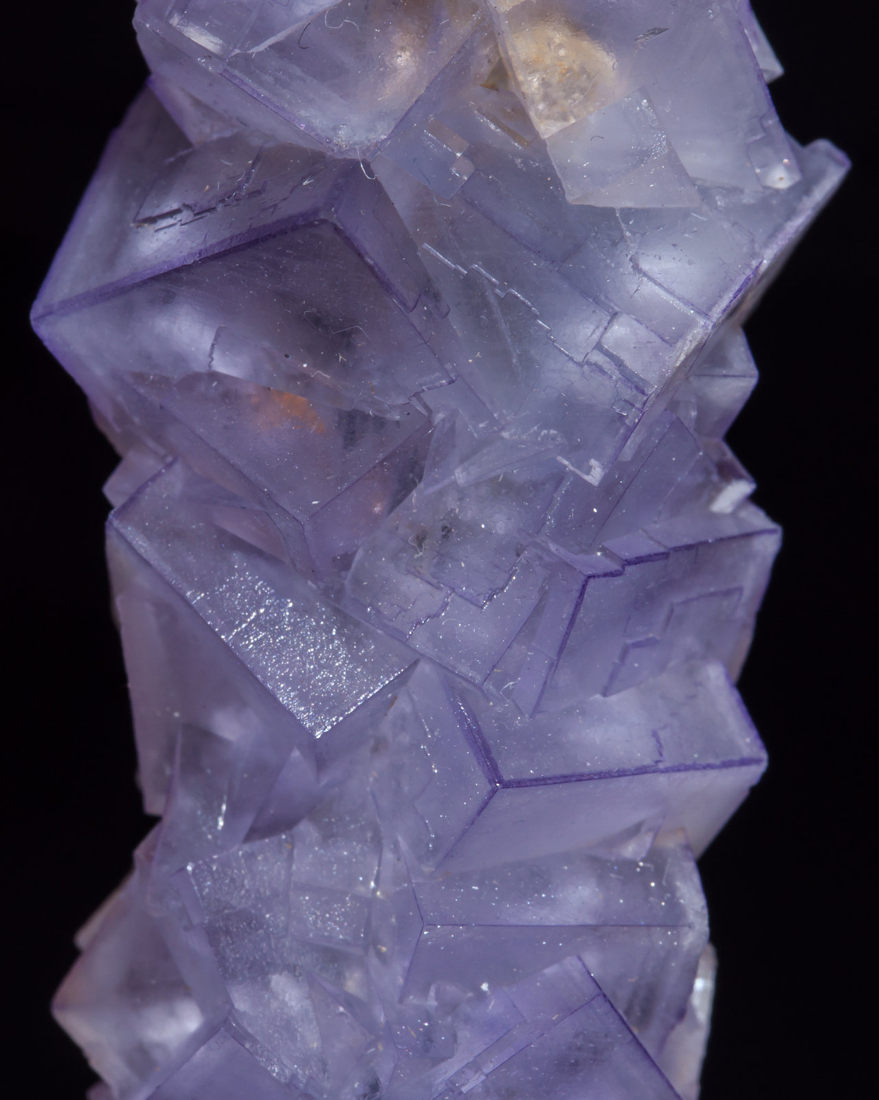 specimens/s_imagesAE8/Fluorite-EA98AE8d.jpg