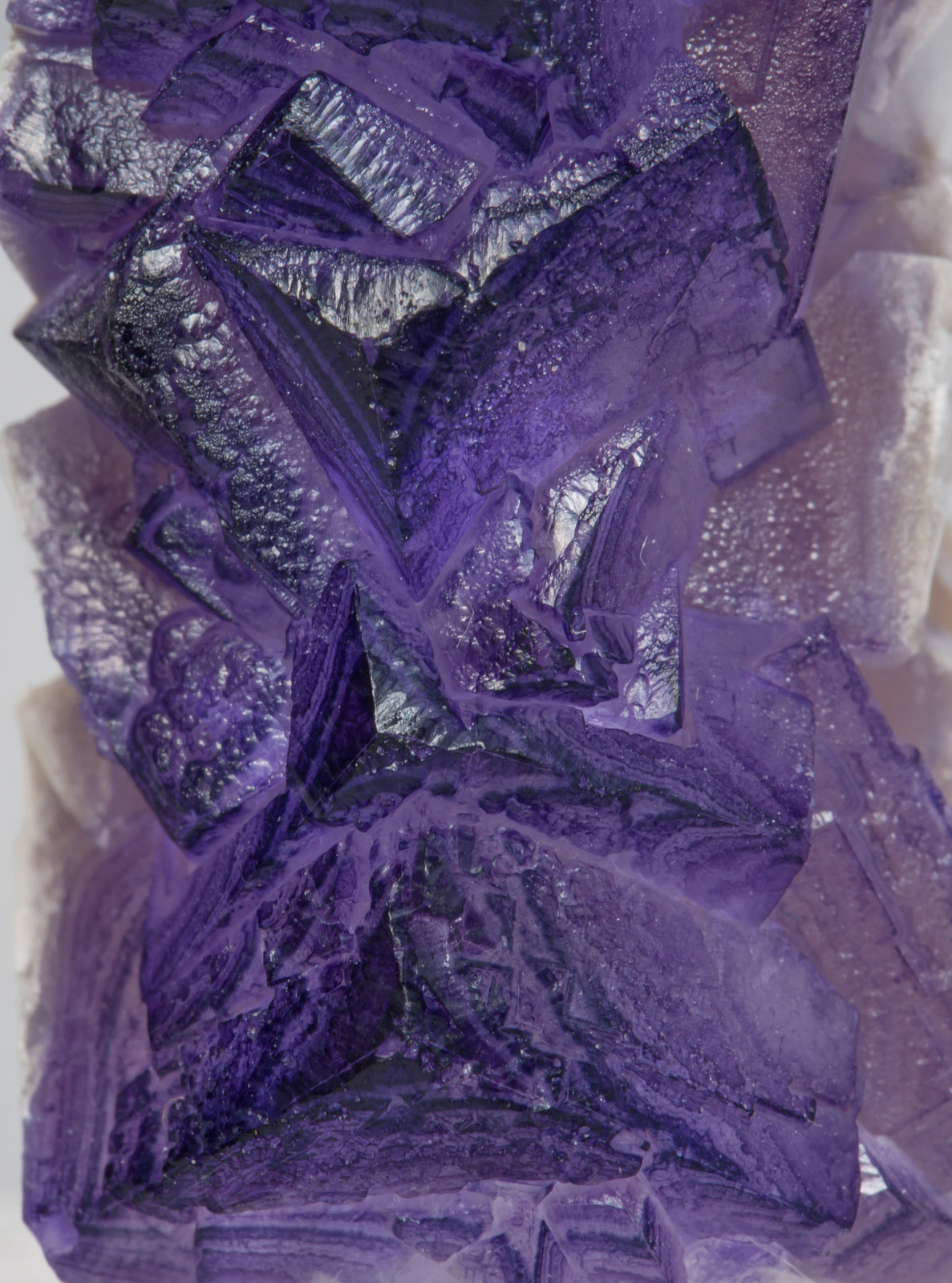 specimens/s_imagesAE8/Fluorite-EH47AE8d.jpg