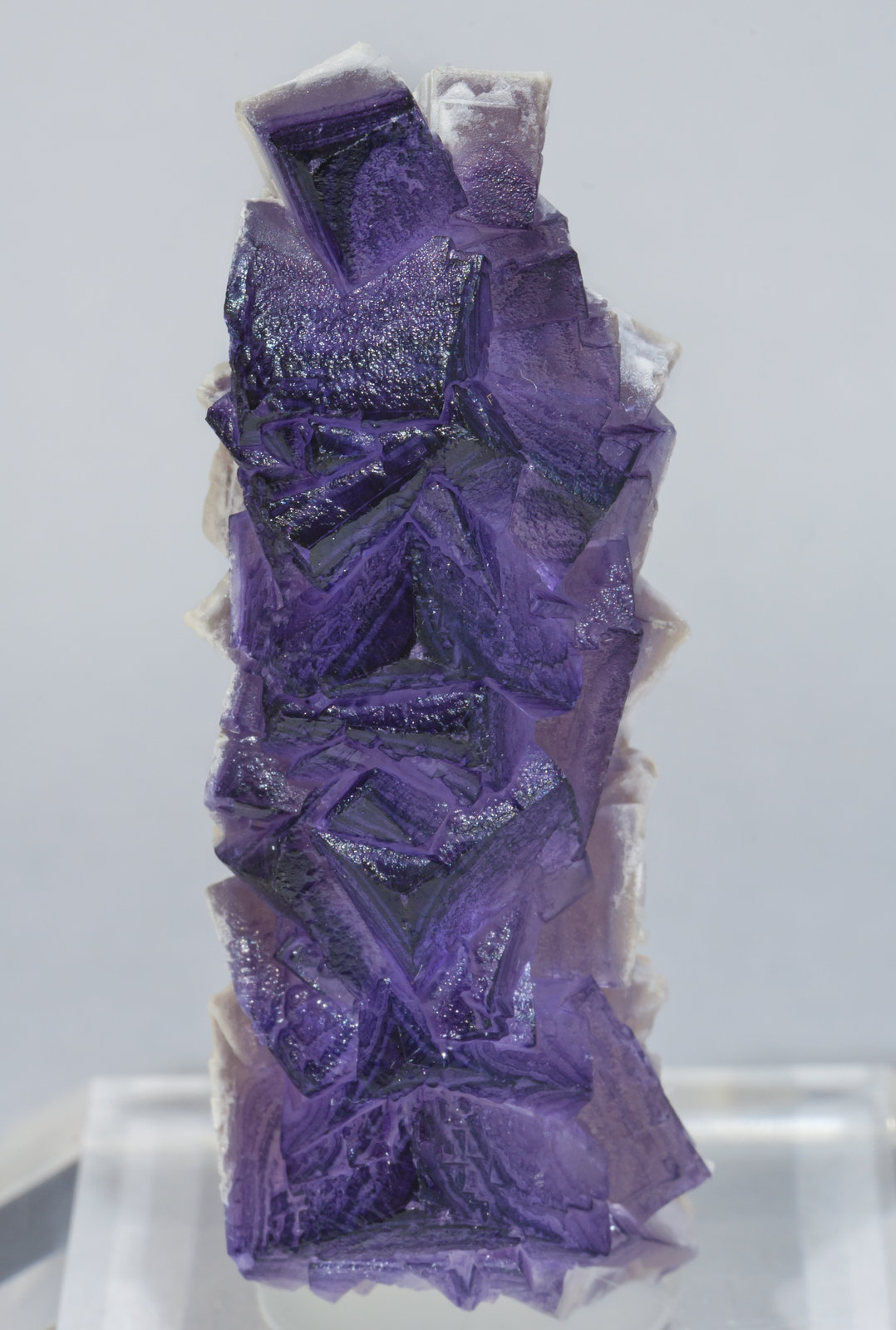 specimens/s_imagesAE8/Fluorite-EH47AE8f.jpg