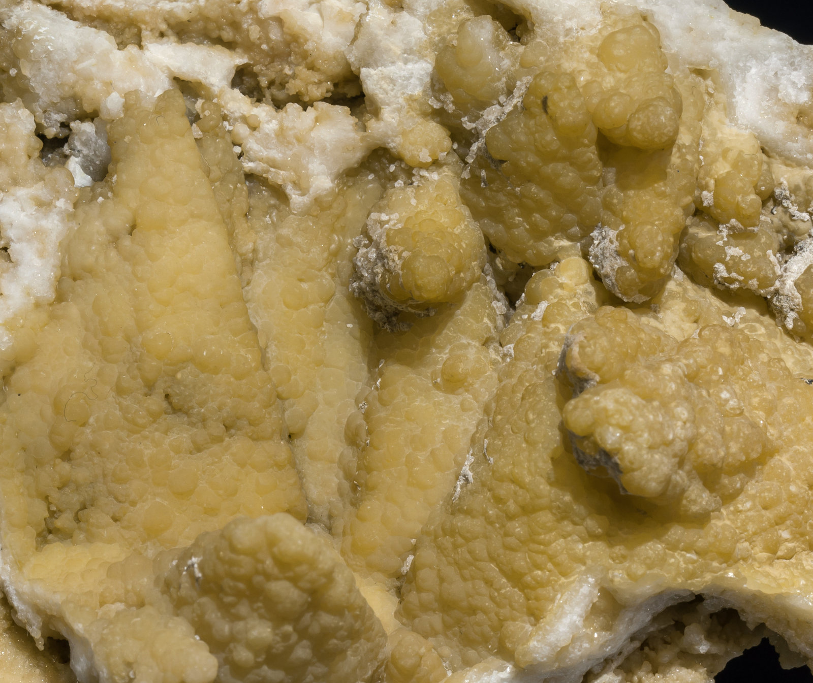 specimens/s_imagesAE8/Smithsonite-NV86AE8d.jpg