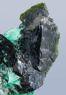 Volborthite with Brochantite. 