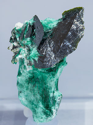 Volborthite with Brochantite.