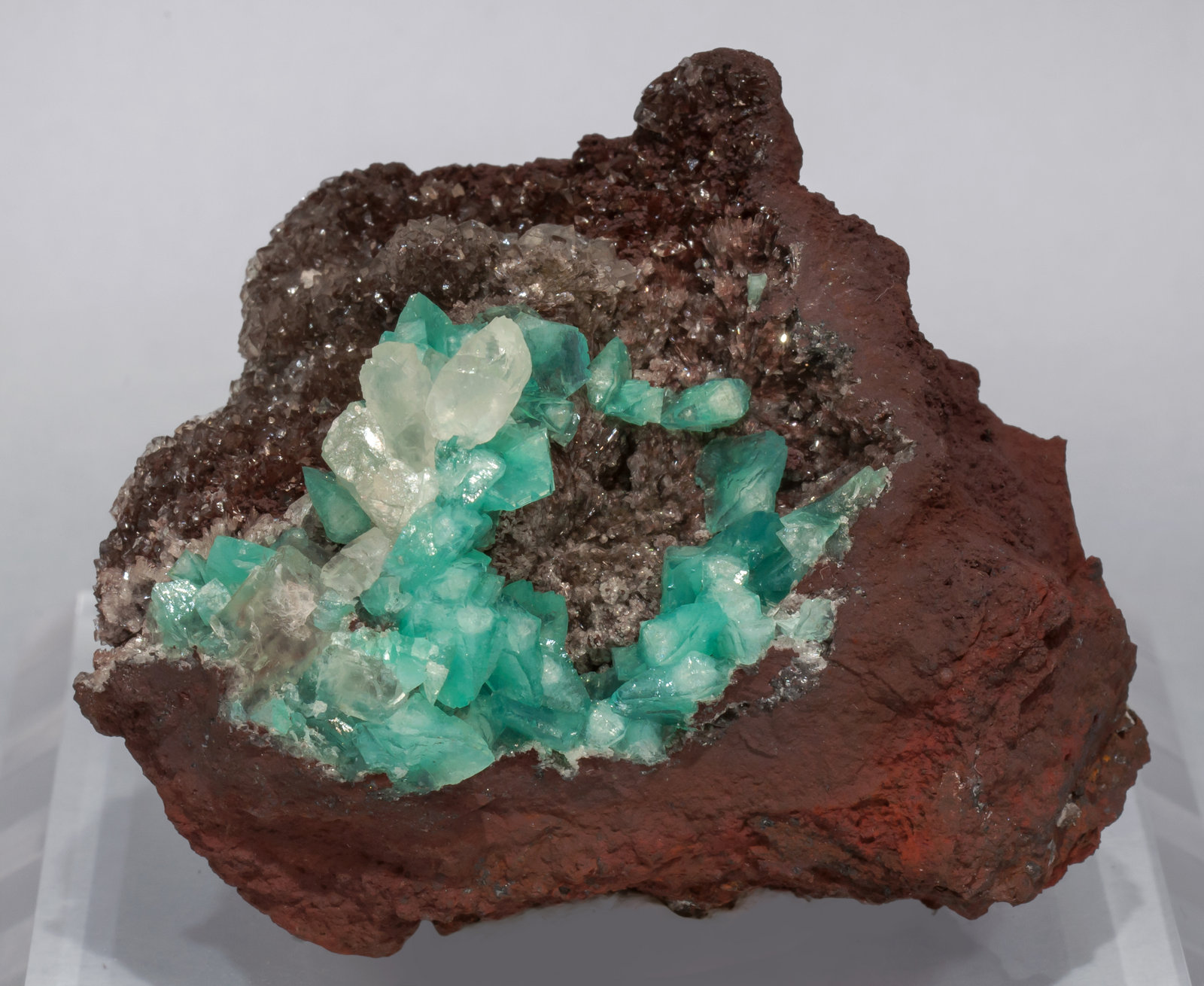 specimens/s_imagesAE9/Adamite_cuprian-MA54AE9f.jpg