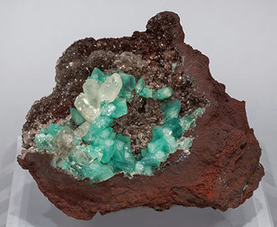 Adamite (variety cuprian) with Calcite. 