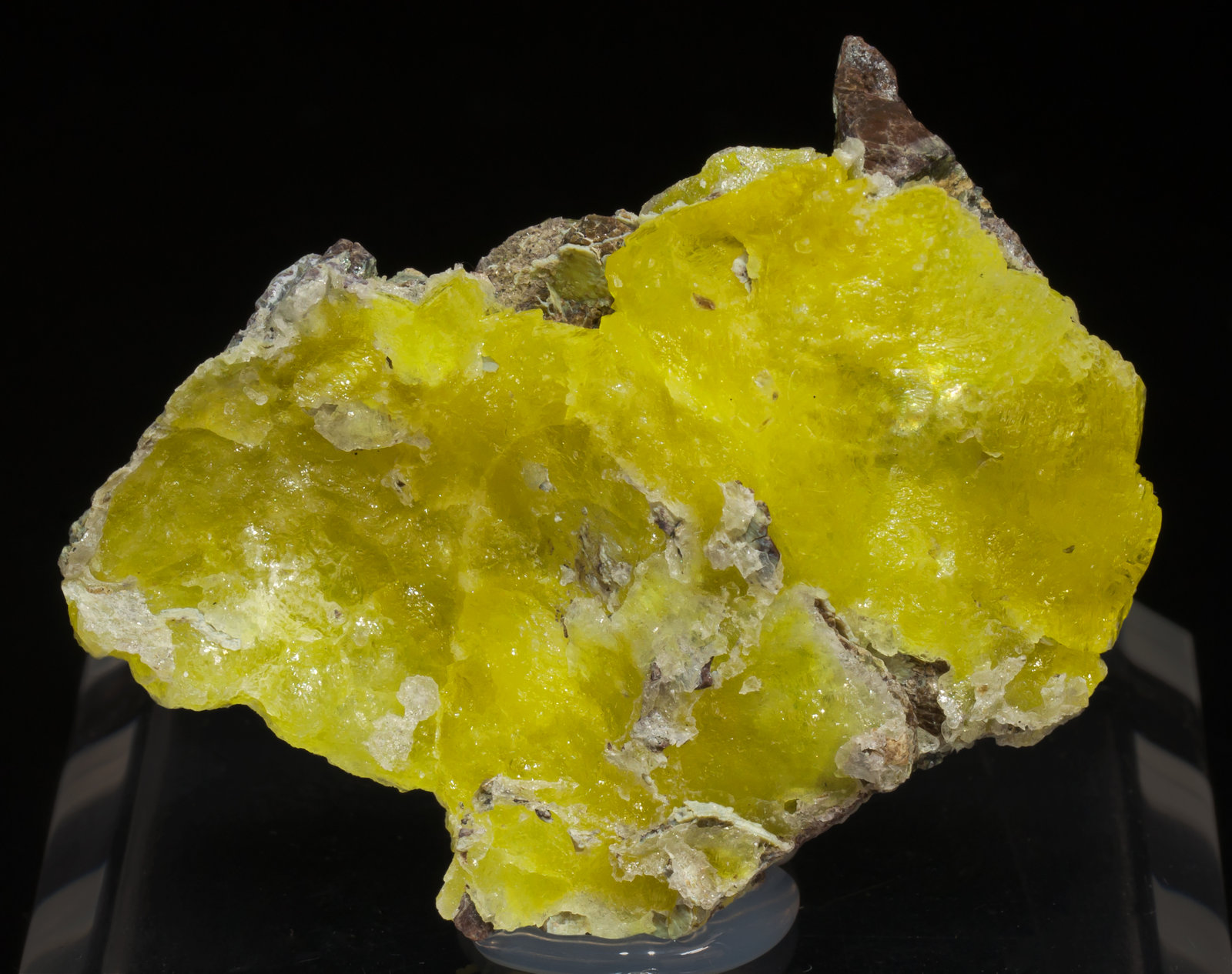 specimens/s_imagesAE9/Brucite-NL86AE9f.jpg