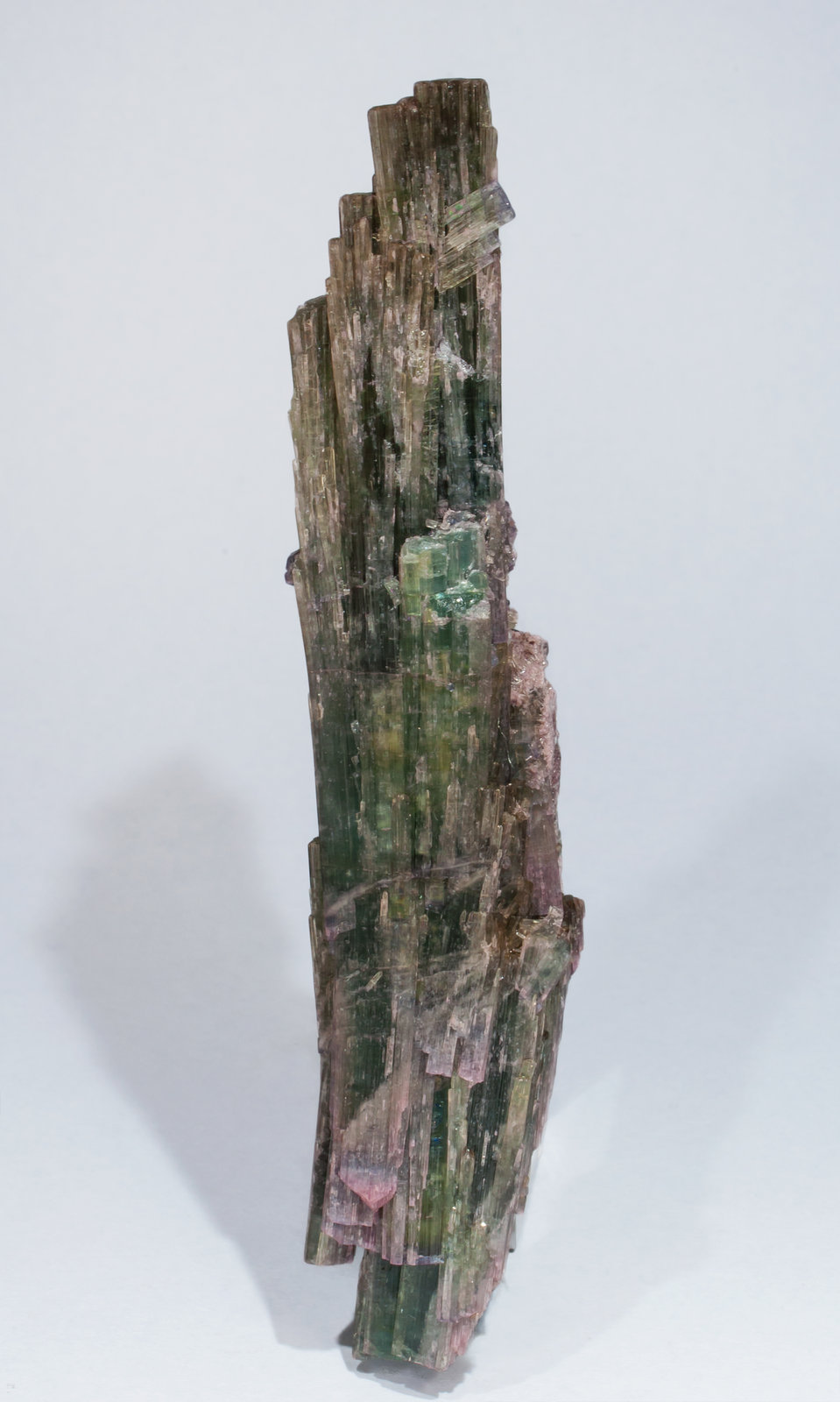 specimens/s_imagesAE9/Elbaite-TZ69AE9r.jpg