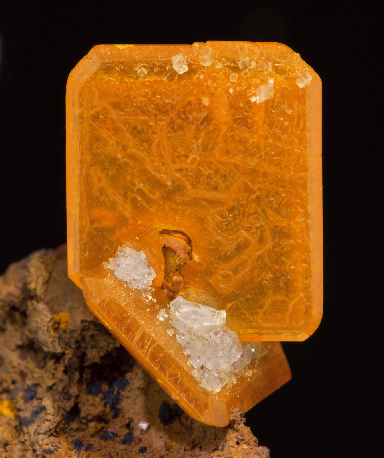 specimens/s_imagesAE9/Wulfenite-TB96AE9d.jpg