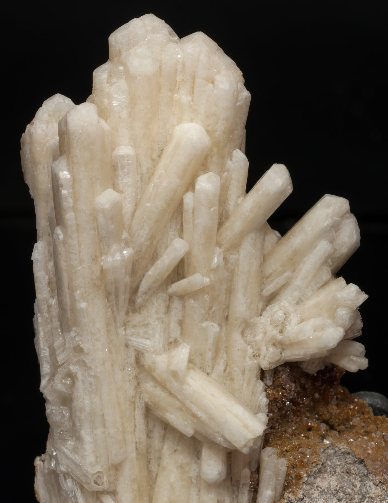 specimens/s_imagesAF0/Aragonite_tarnowitzite-MF39AF0d.jpg