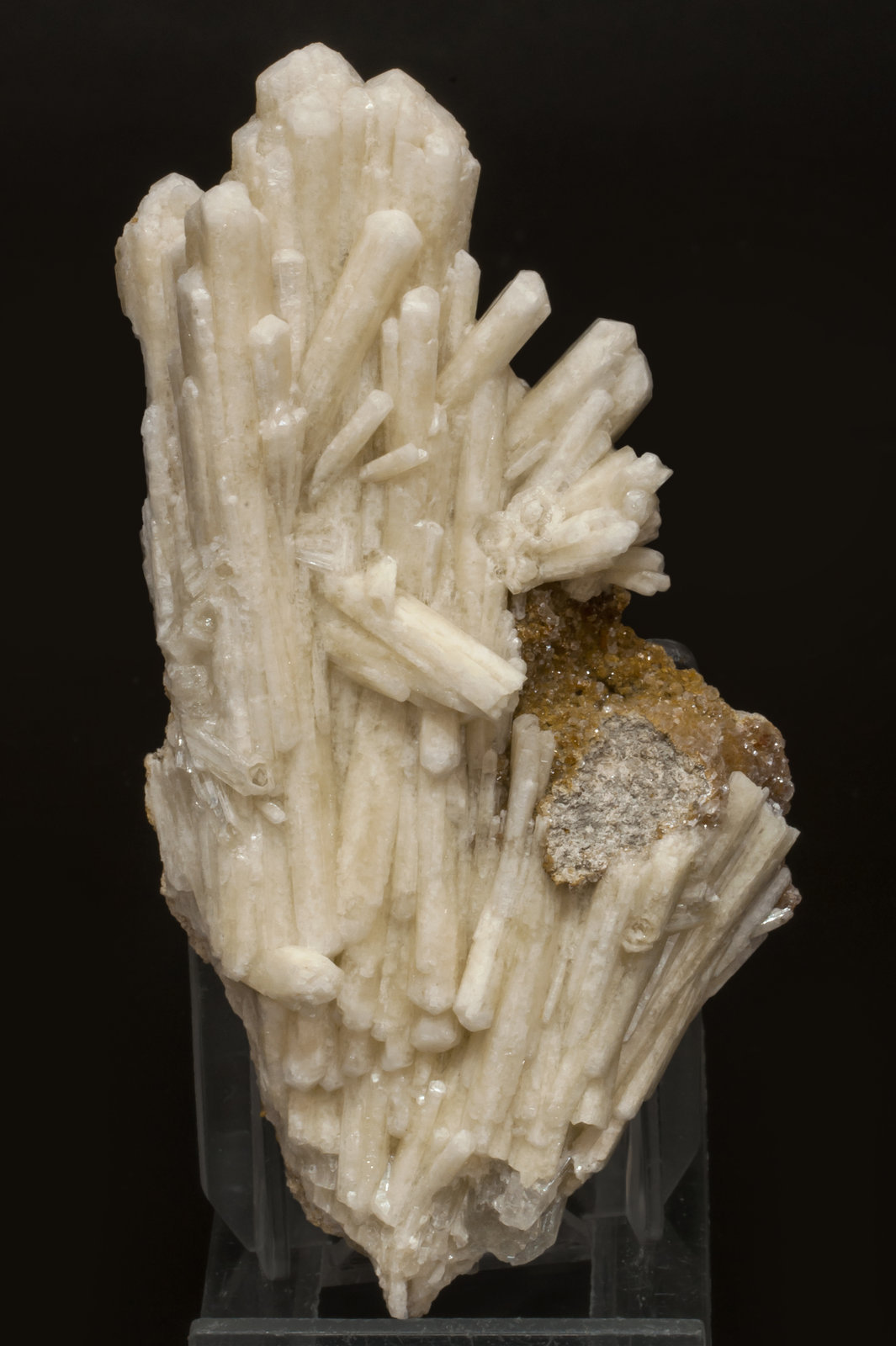 specimens/s_imagesAF0/Aragonite_tarnowitzite-MF39AF0f.jpg