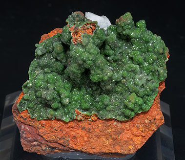 Austinite (variety cuprian) with Calcite. 