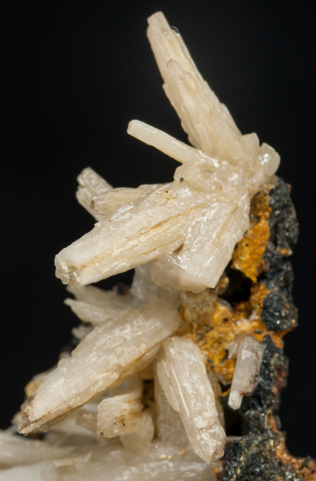 specimens/s_imagesAF0/Cerussite-MT68AF0d1.jpg