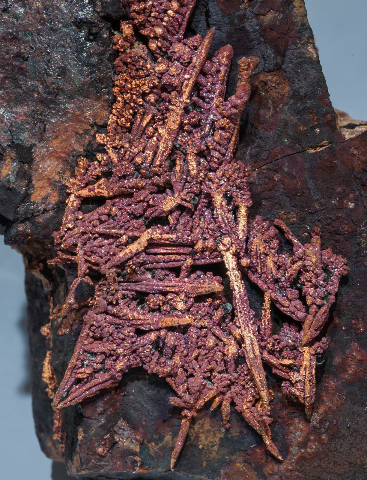 specimens/s_imagesAF0/Cuprite-TT73AF0d1.jpg