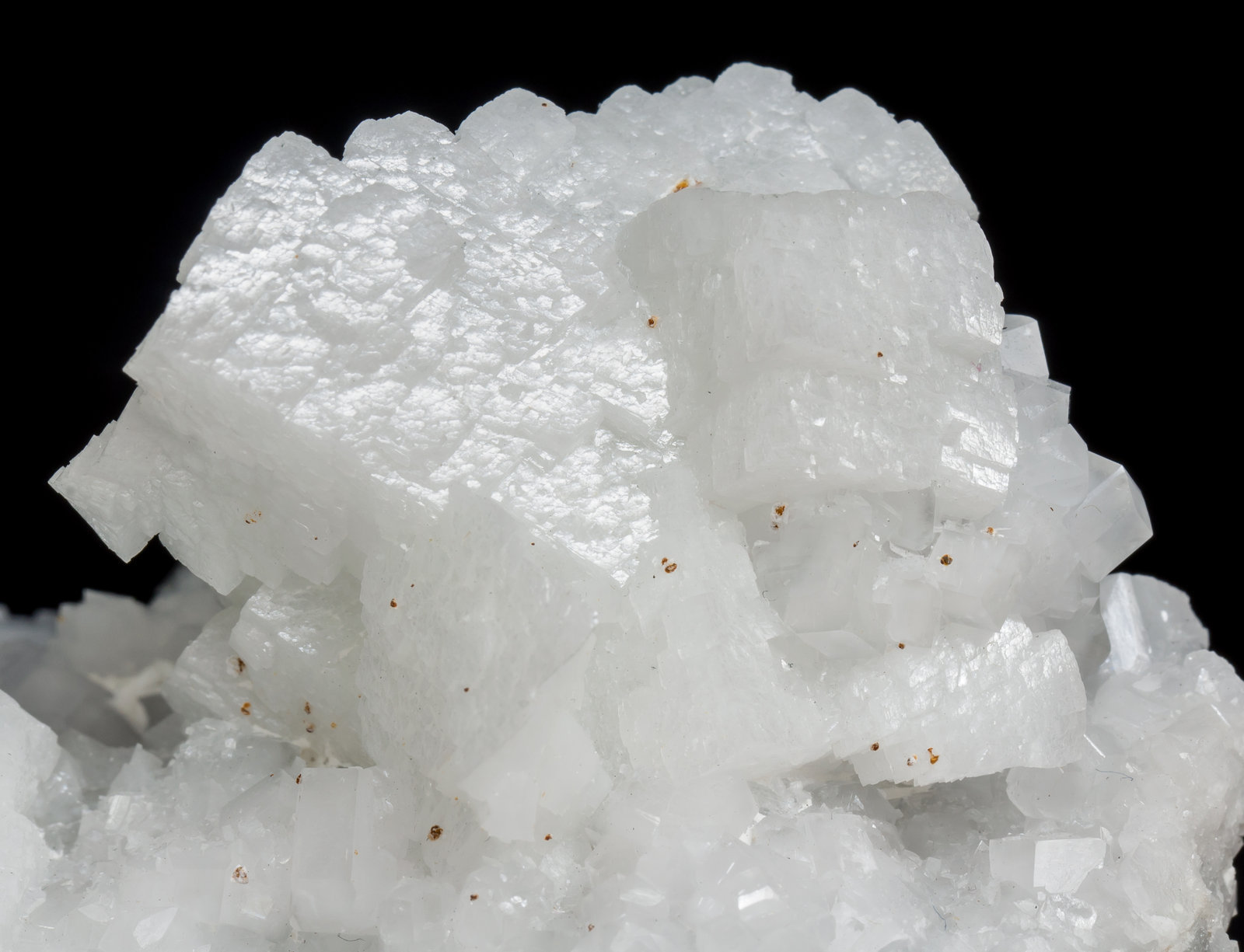 specimens/s_imagesAF0/Dolomite-SD96AF0d.jpg