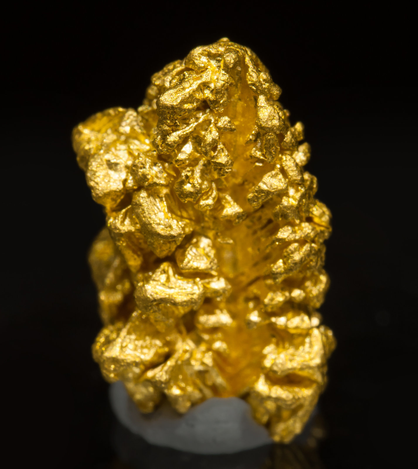 specimens/s_imagesAF0/Gold-TH9AF0f.jpg