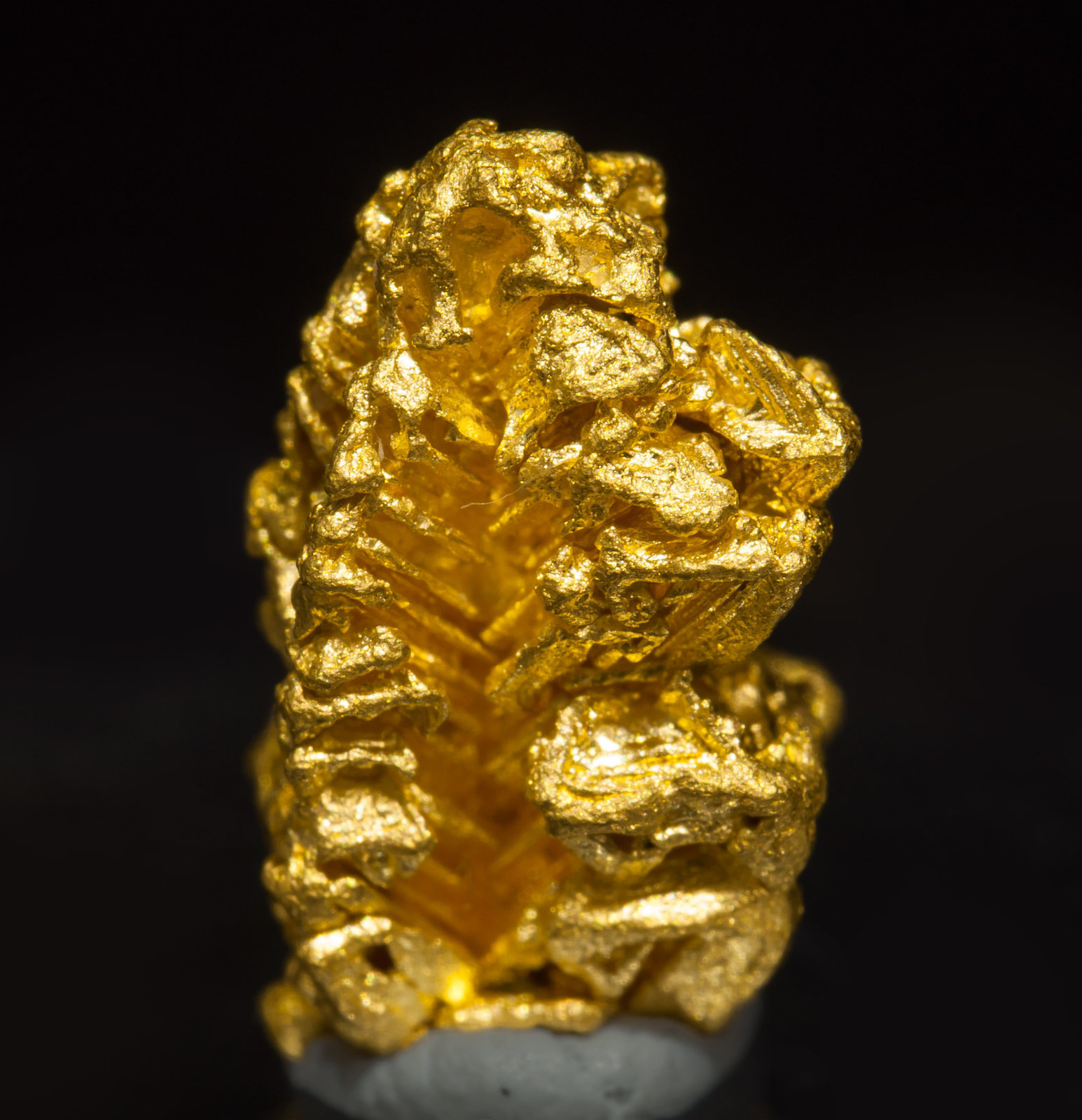 specimens/s_imagesAF0/Gold-TH9AF0r.jpg