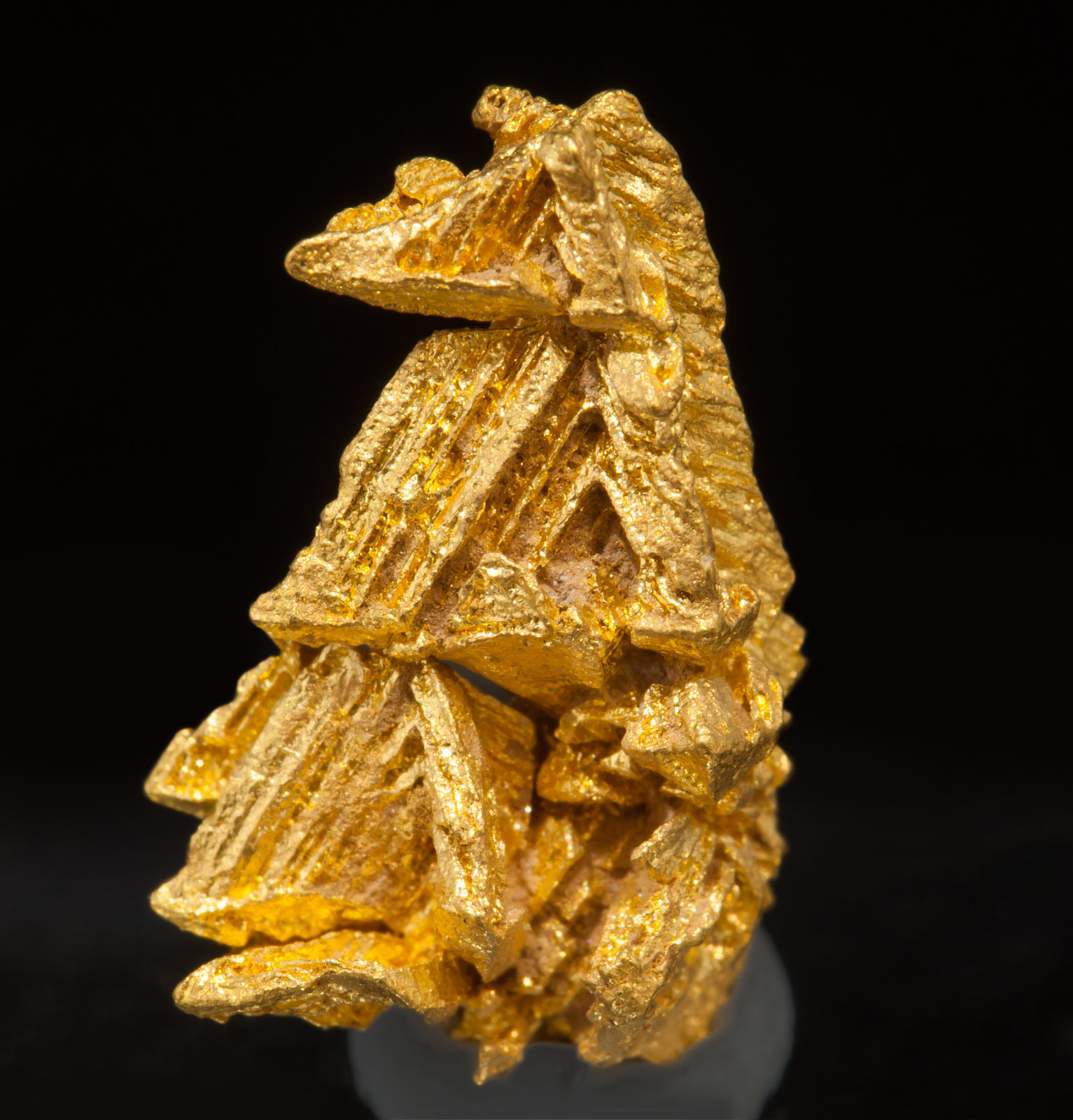 specimens/s_imagesAF0/Gold-TM8AF0f.jpg