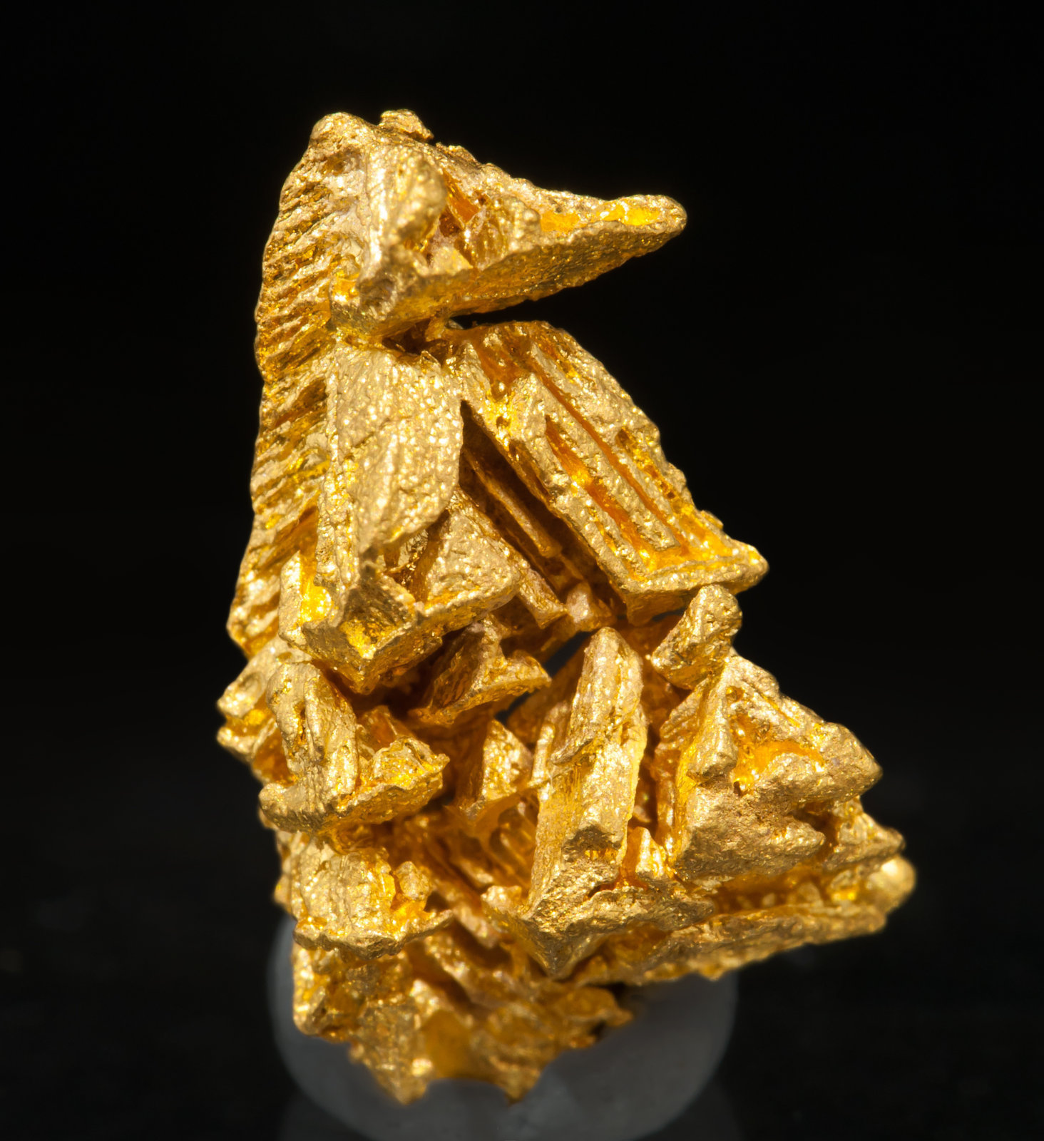 specimens/s_imagesAF0/Gold-TM8AF0r.jpg